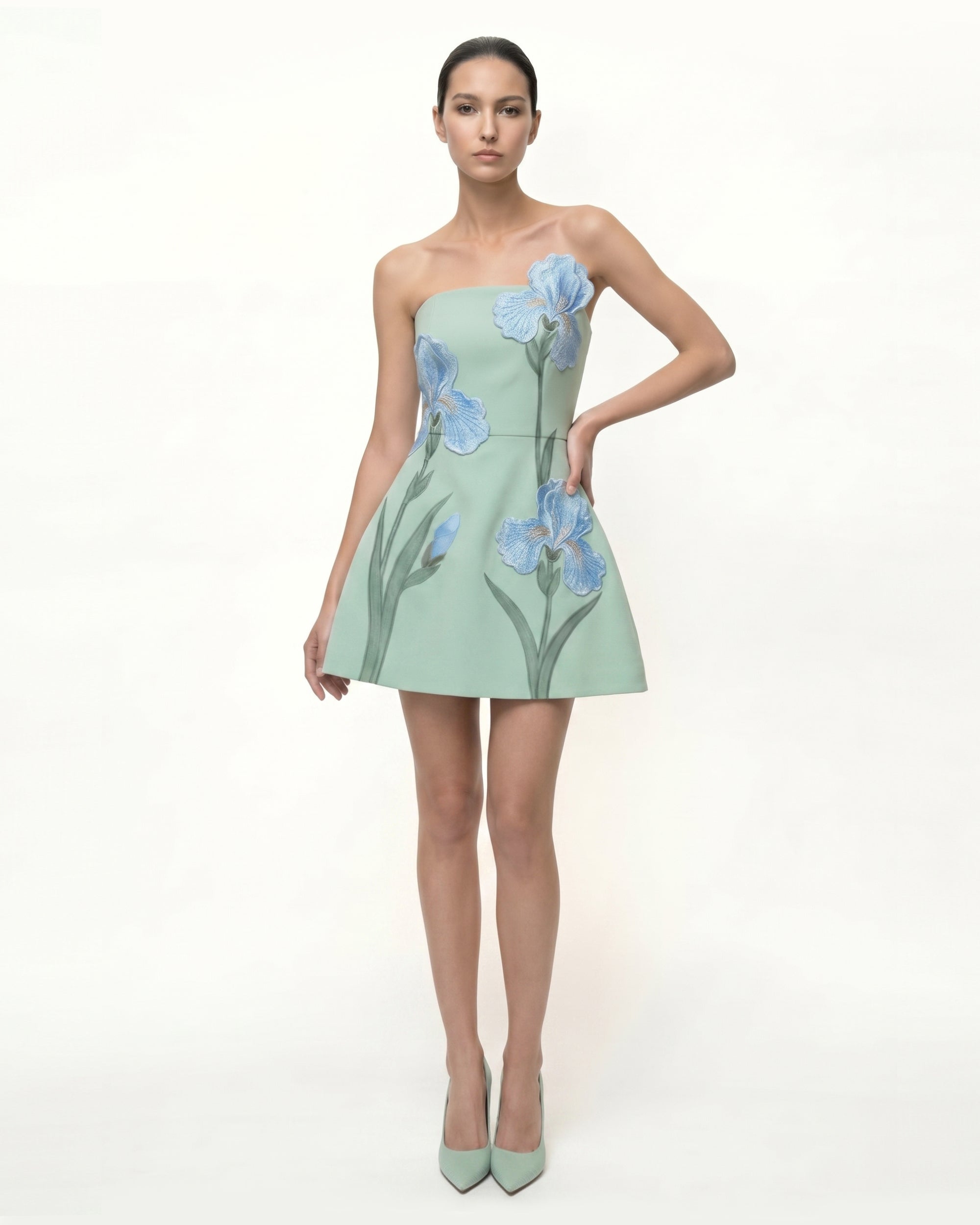 Iris Embroidered Strapless A-Line Mini Dress - Sage Green