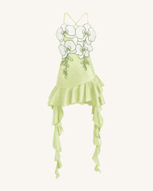 Orchid Embroidered Ruffle Hem Mini Dress - Light Green