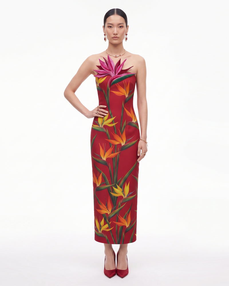 Bird of Paradise Appliqué Strapless Column Midi Dress - True Red