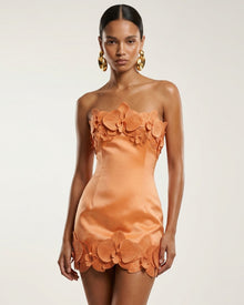 Orchid Trim Strapless Mini Dress - Apricot