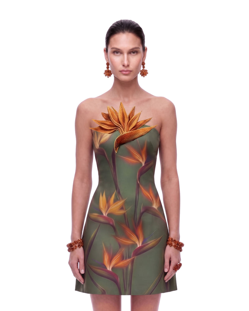 Bird of Paradise Appliqué Strapless Mini Dress - Olive