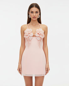 Flower Embroidered Mini Dress - Blush Pink