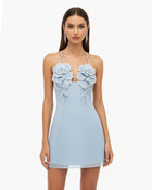 Flower Embroidered Mini Dress - Blue