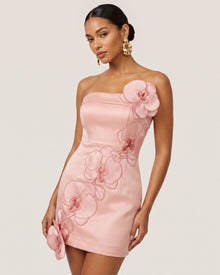 Orchid Embroidered Floral Appliqué Strapless Mini Dress - Pink