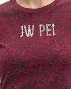 Crystal Logo Crinkle Wash Cropped Tee - Burgundy